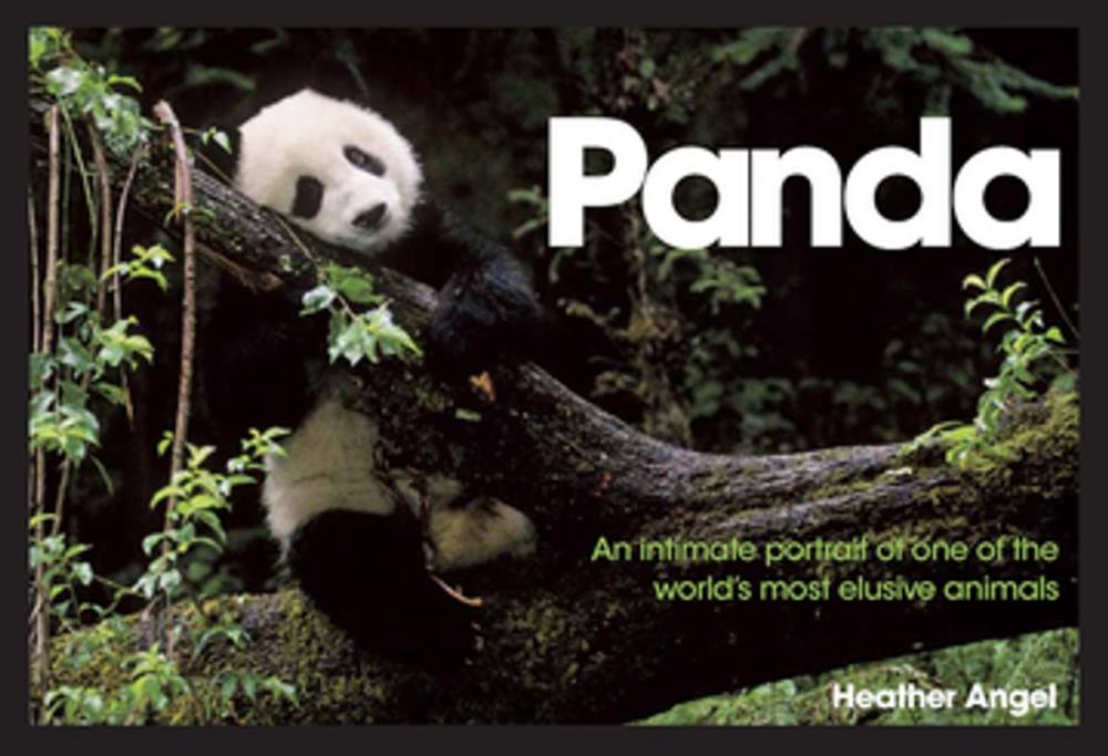 Big bigCover of Panda