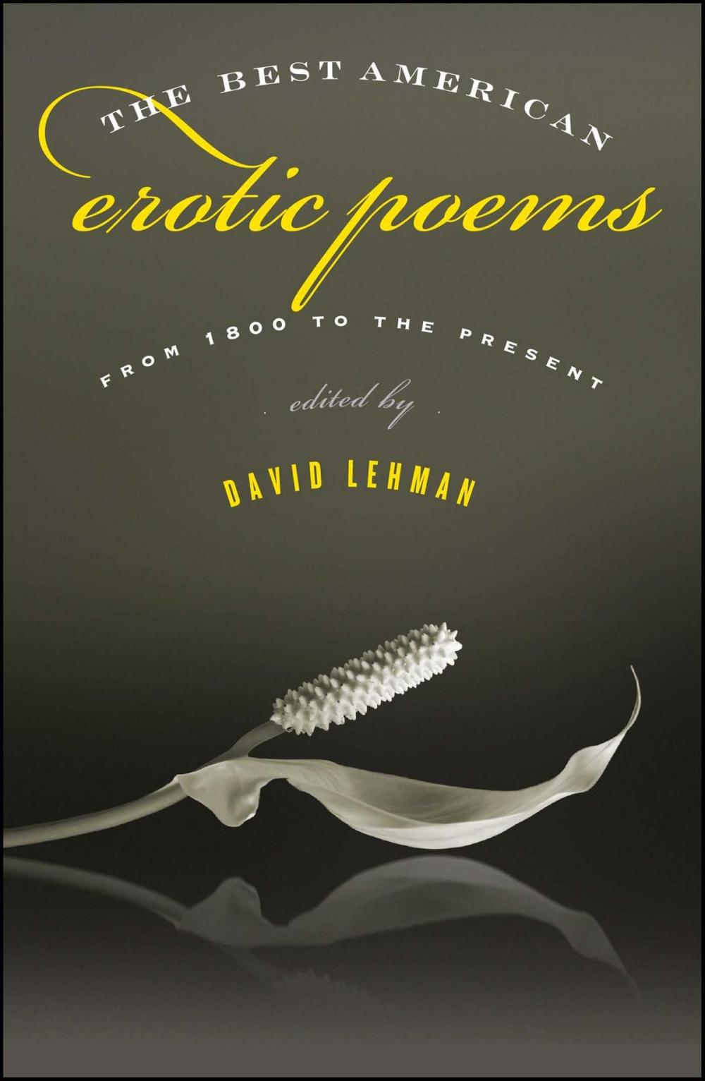 Big bigCover of The Best American Erotic Poems