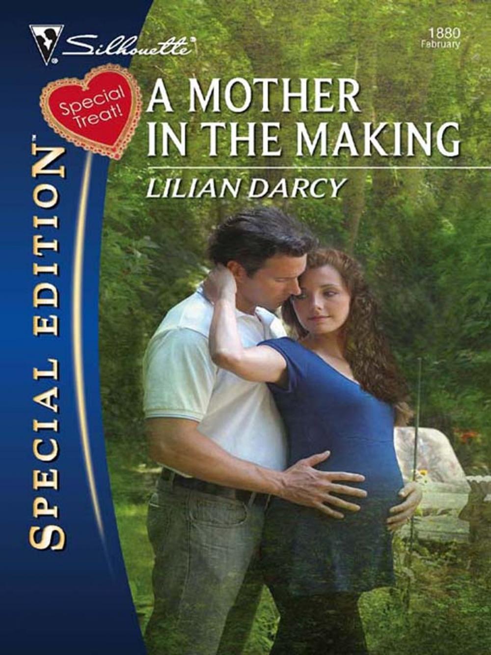 Big bigCover of A Mother in the Making