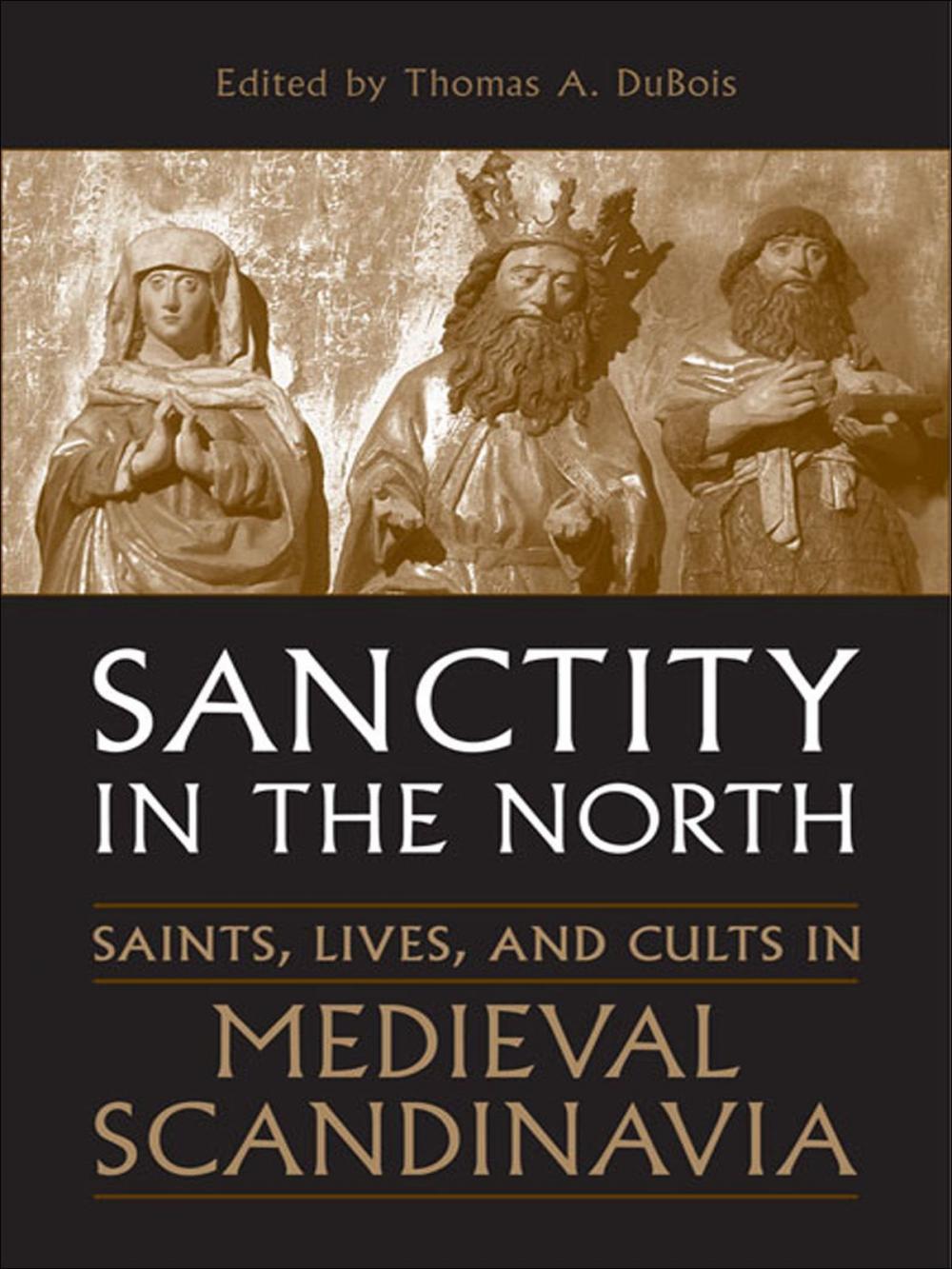 Big bigCover of Sanctity in the North