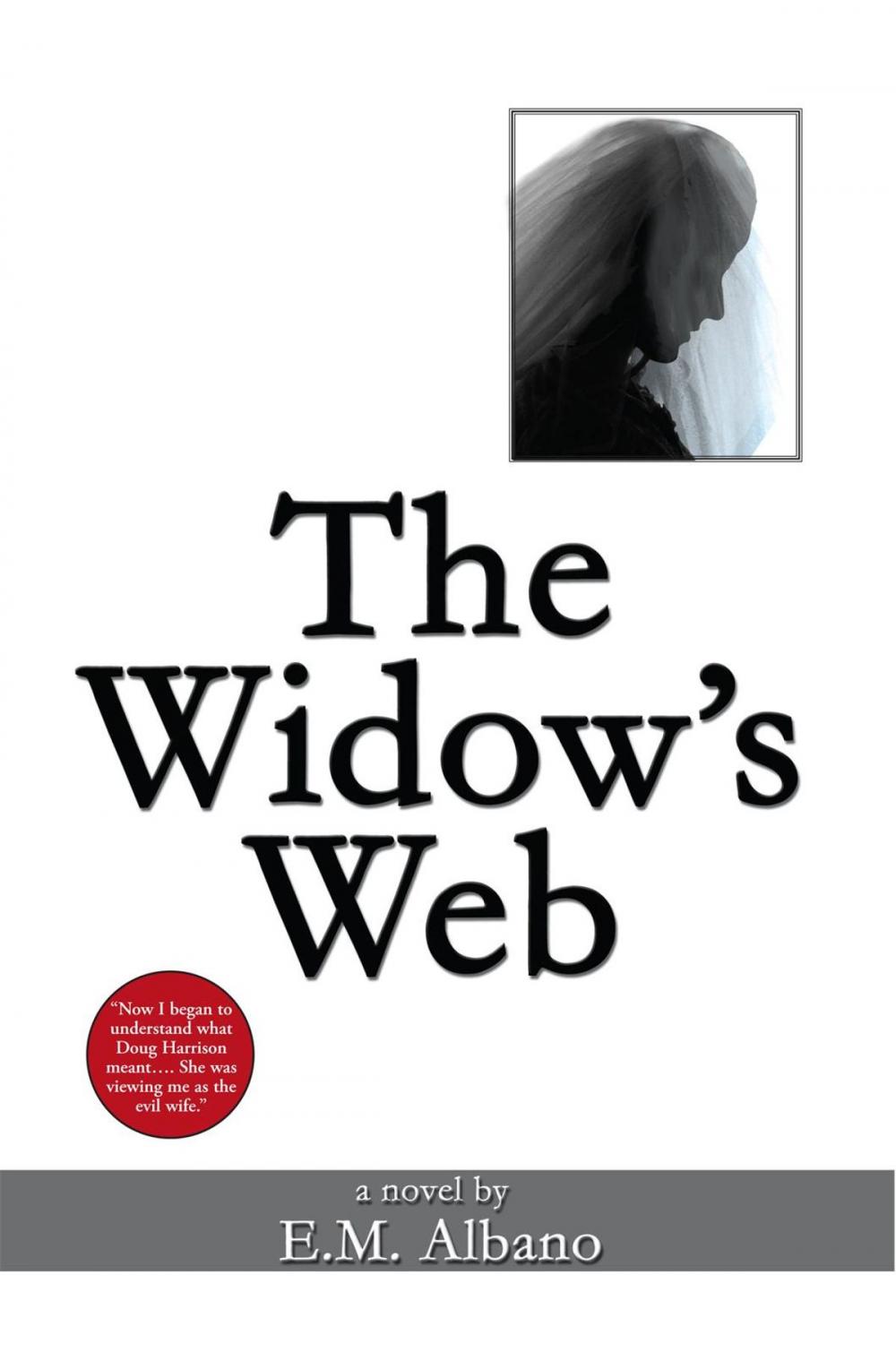 Big bigCover of The Widow's Web