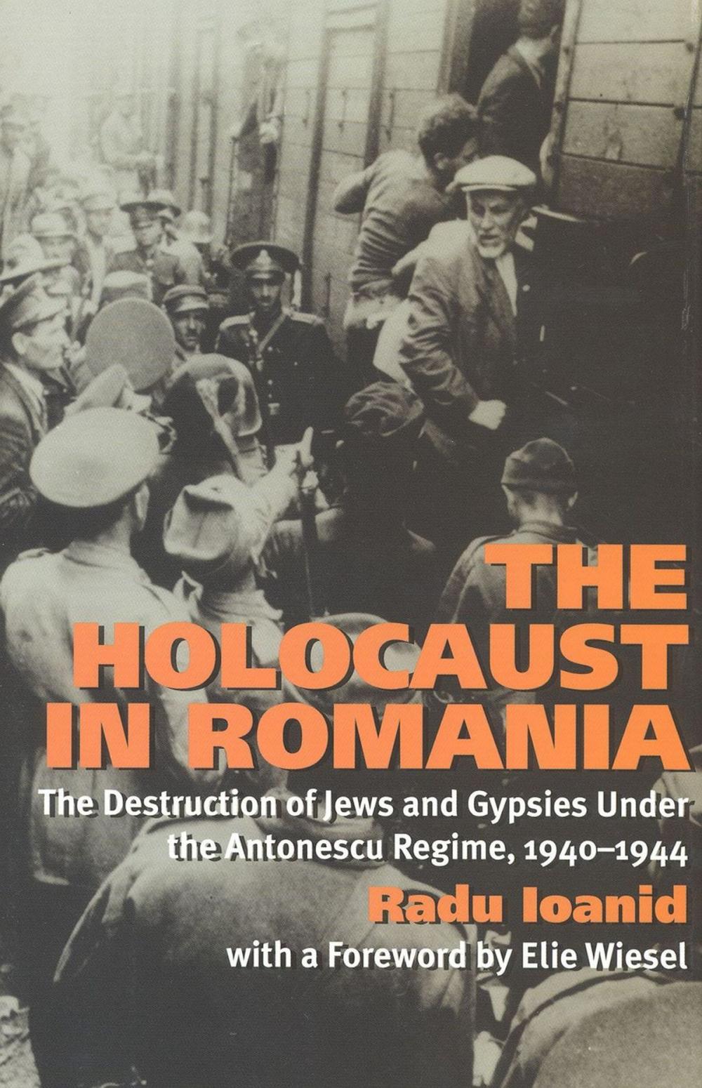 Big bigCover of The Holocaust in Romania