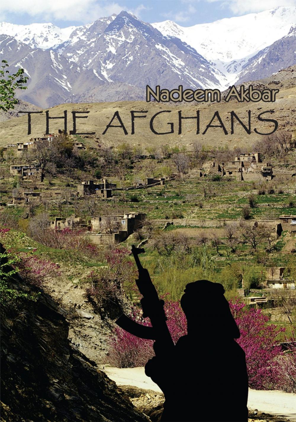 Big bigCover of The Afghans