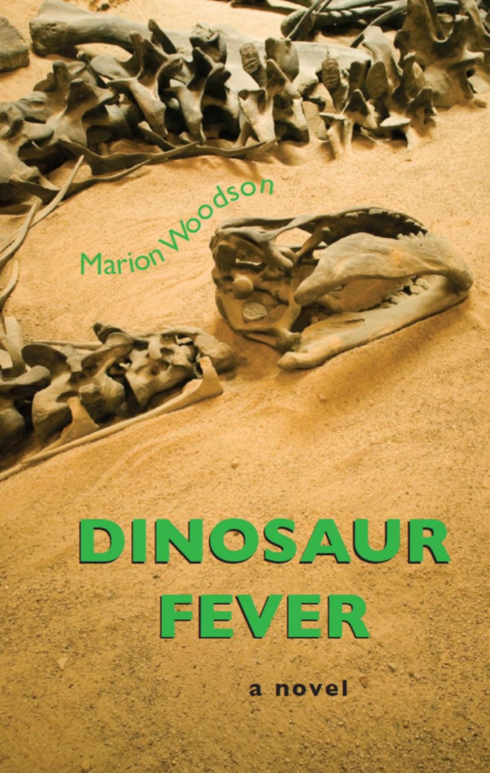 Big bigCover of Dinosaur Fever