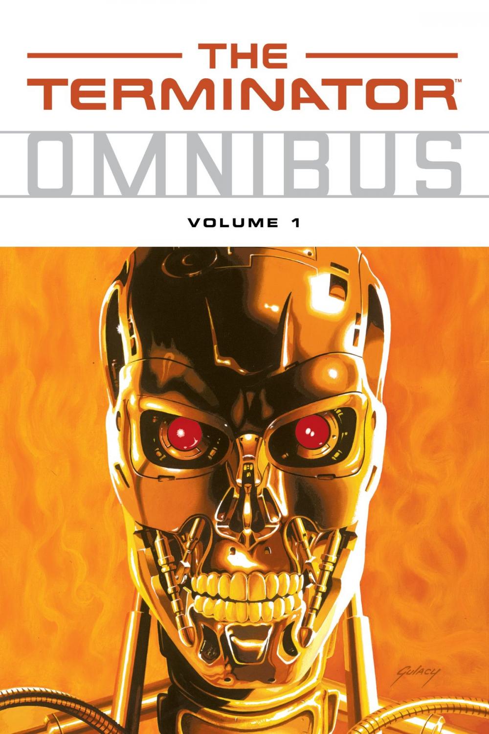 Big bigCover of Terminator Omnibus Volume 1