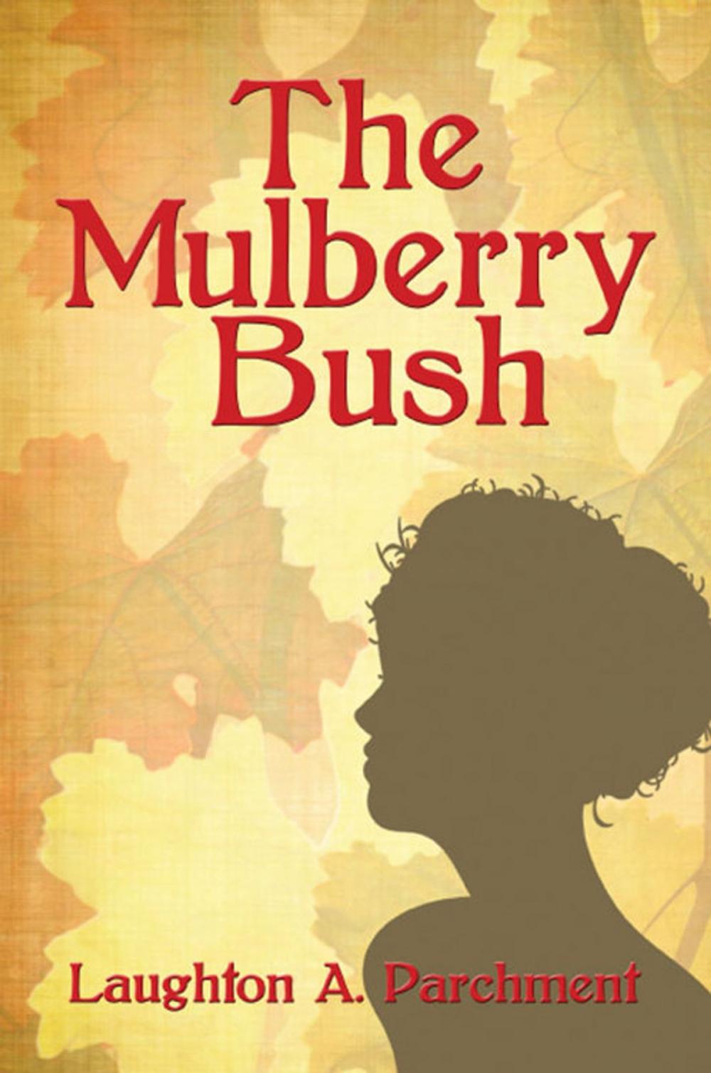 Big bigCover of The Mulberry Bush