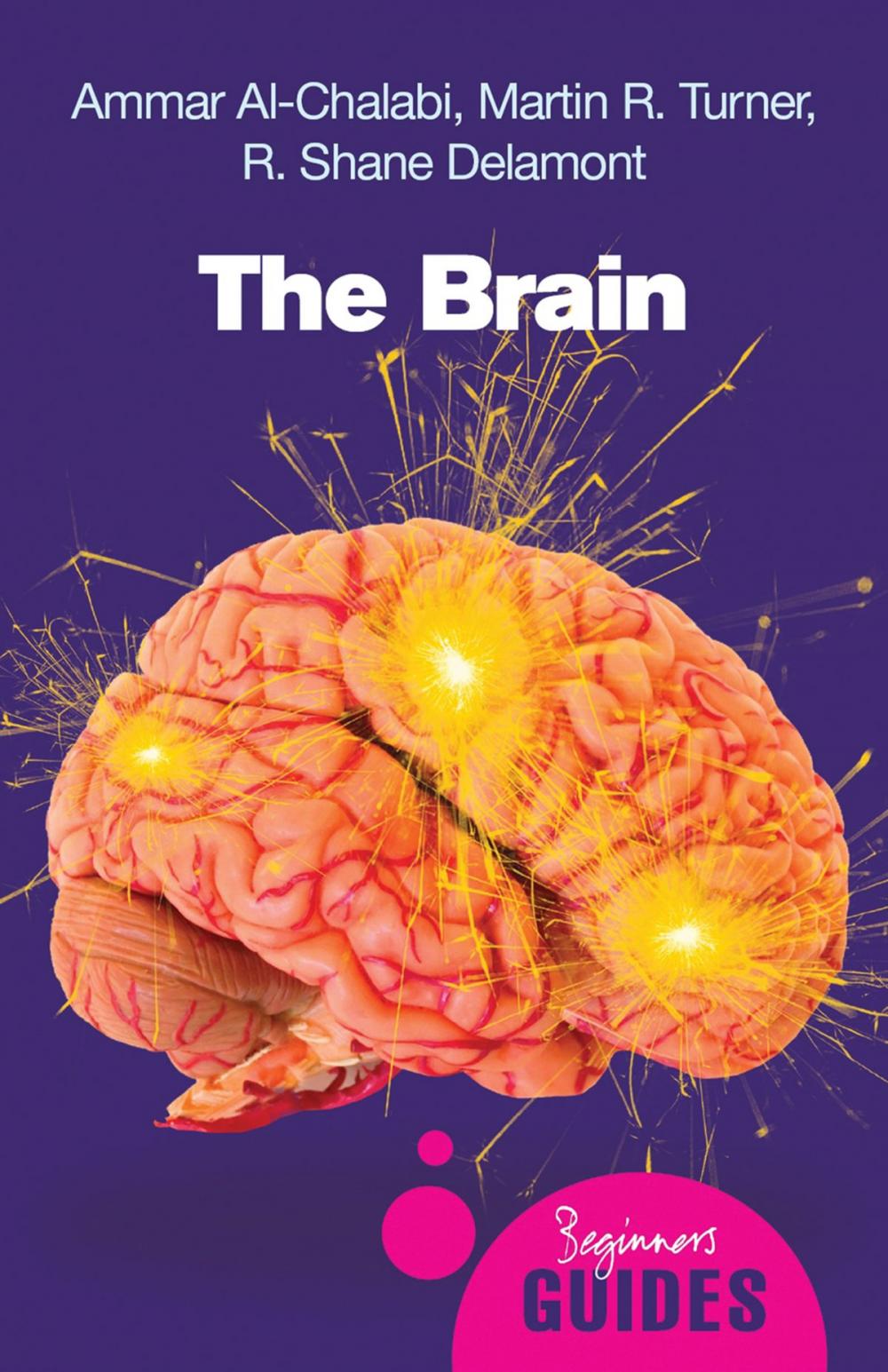 Big bigCover of The Brain