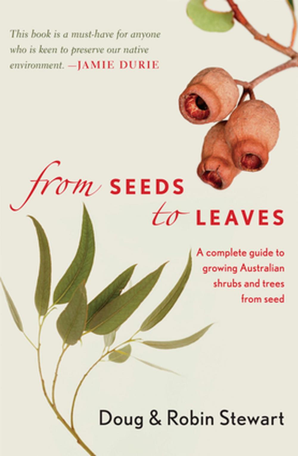 Big bigCover of From Seeds to Leaves