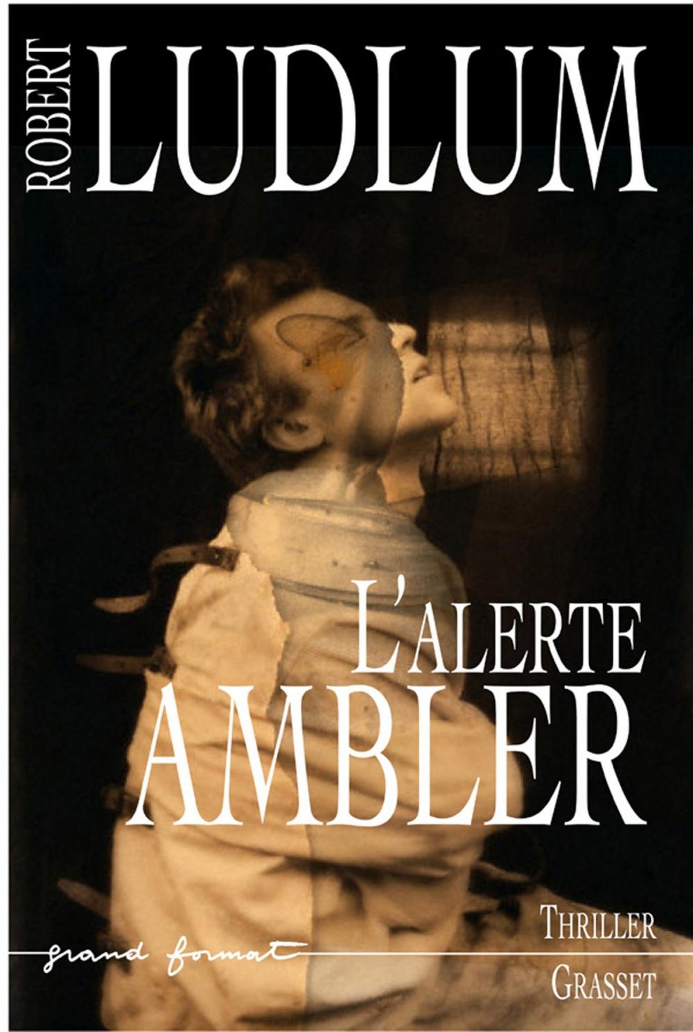 Big bigCover of L'Alerte Ambler