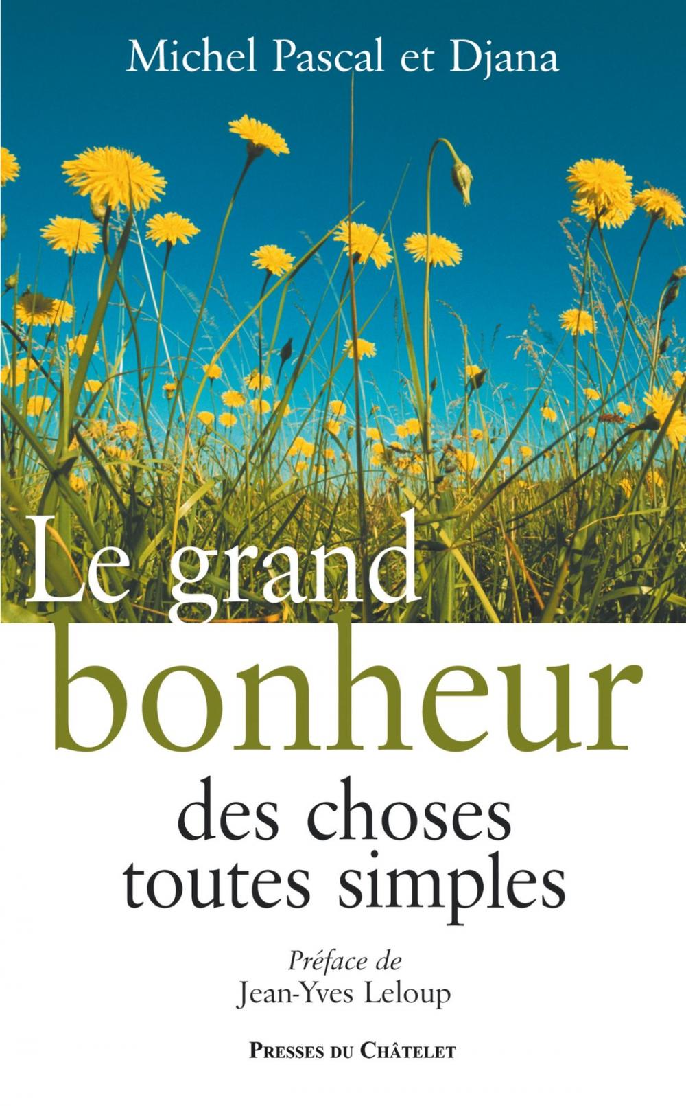 Big bigCover of Le grand bonheur des choses toutes simples