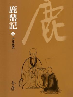 bigCover of the book 少林風波 by 