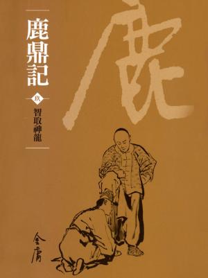 bigCover of the book 智取神龍 by 