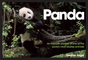Cover of the book Panda by Robert Marzullo