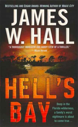 Cover of the book Hell's Bay by Roger Priddy