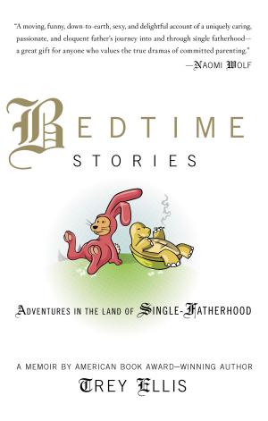 Cover of the book Bedtime Stories by Jon Chandonnet