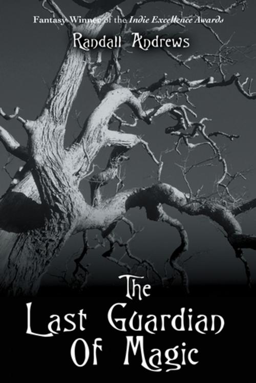 Cover of the book The Last Guardian of Magic by Randall Joseph Andrews, iUniverse