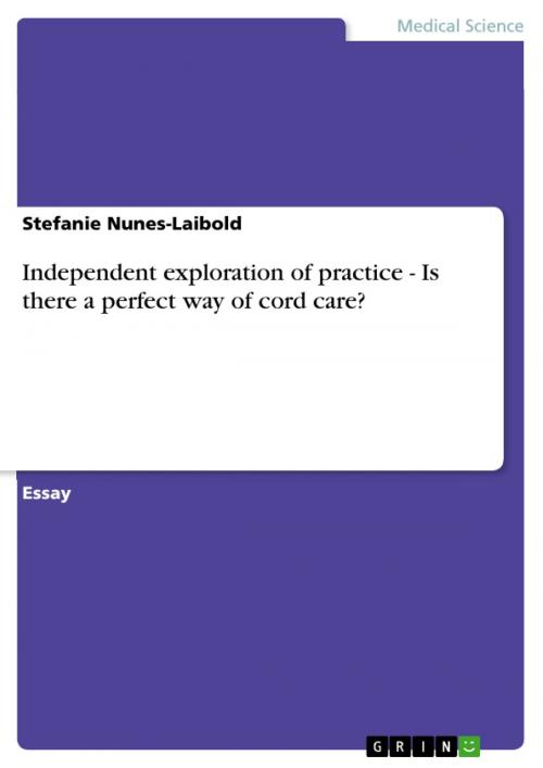 Cover of the book Independent exploration of practice - Is there a perfect way of cord care? by Stefanie Nunes-Laibold, GRIN Publishing