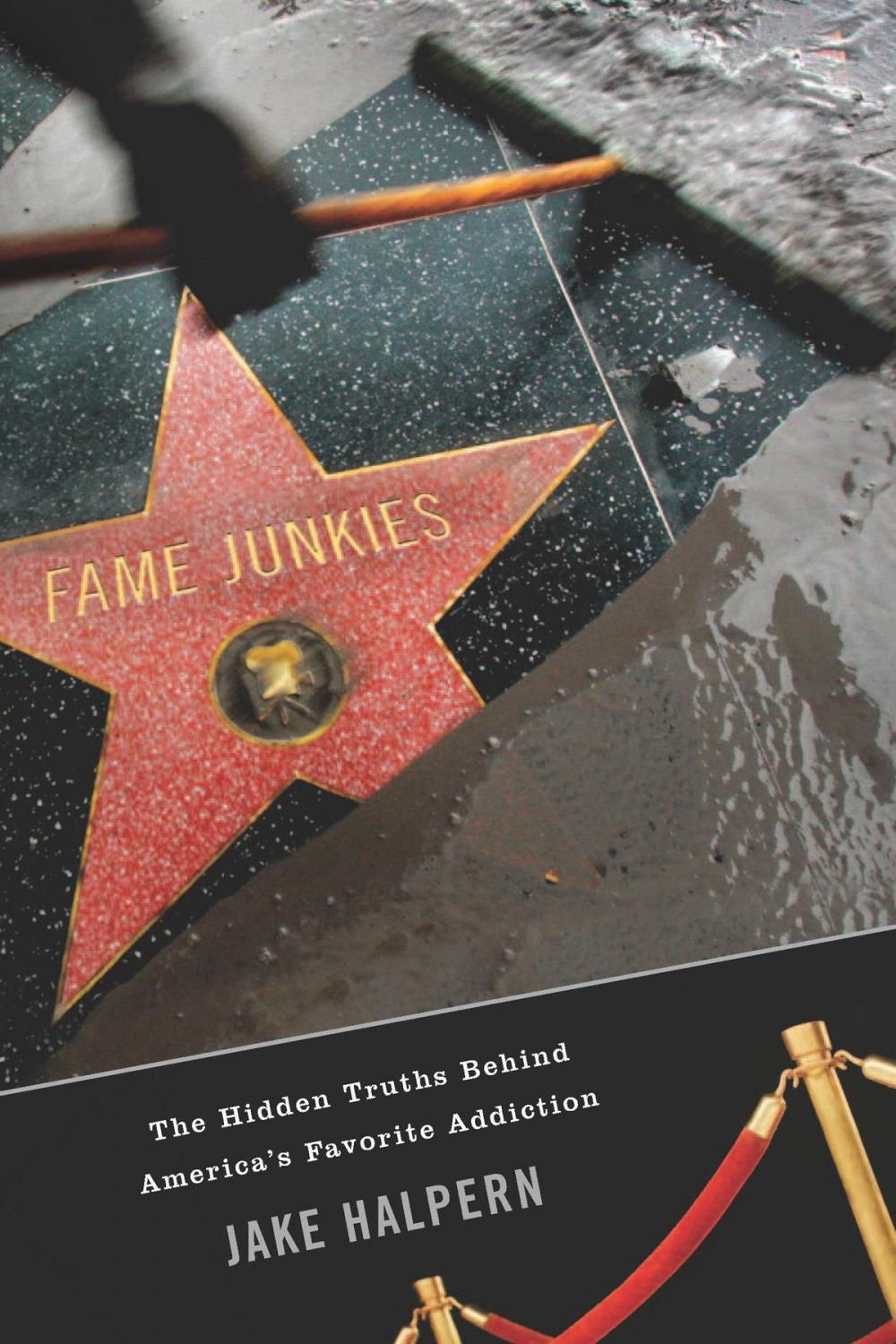 Big bigCover of Fame Junkies