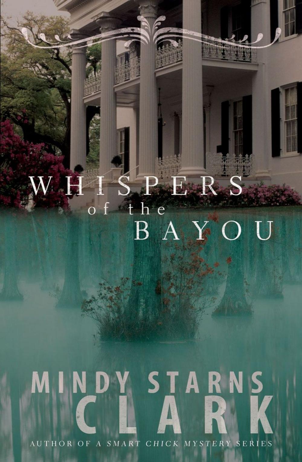 Big bigCover of Whispers of the Bayou