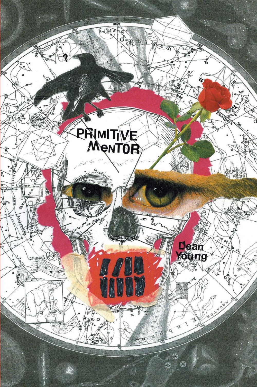 Big bigCover of Primitive Mentor