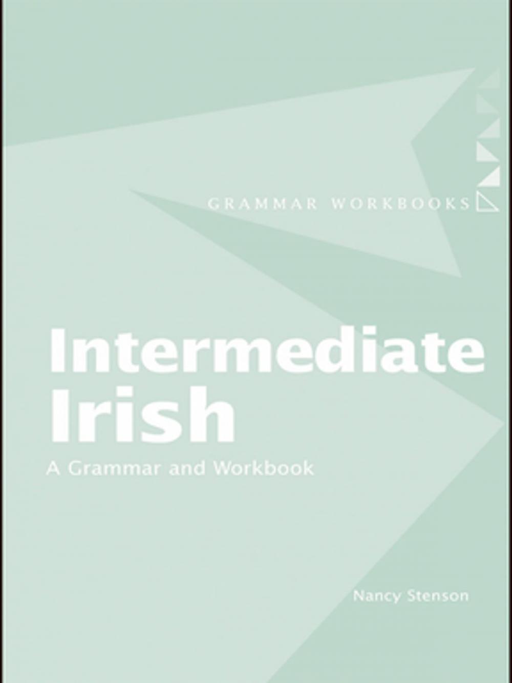 Big bigCover of Intermediate Irish: A Grammar and Workbook