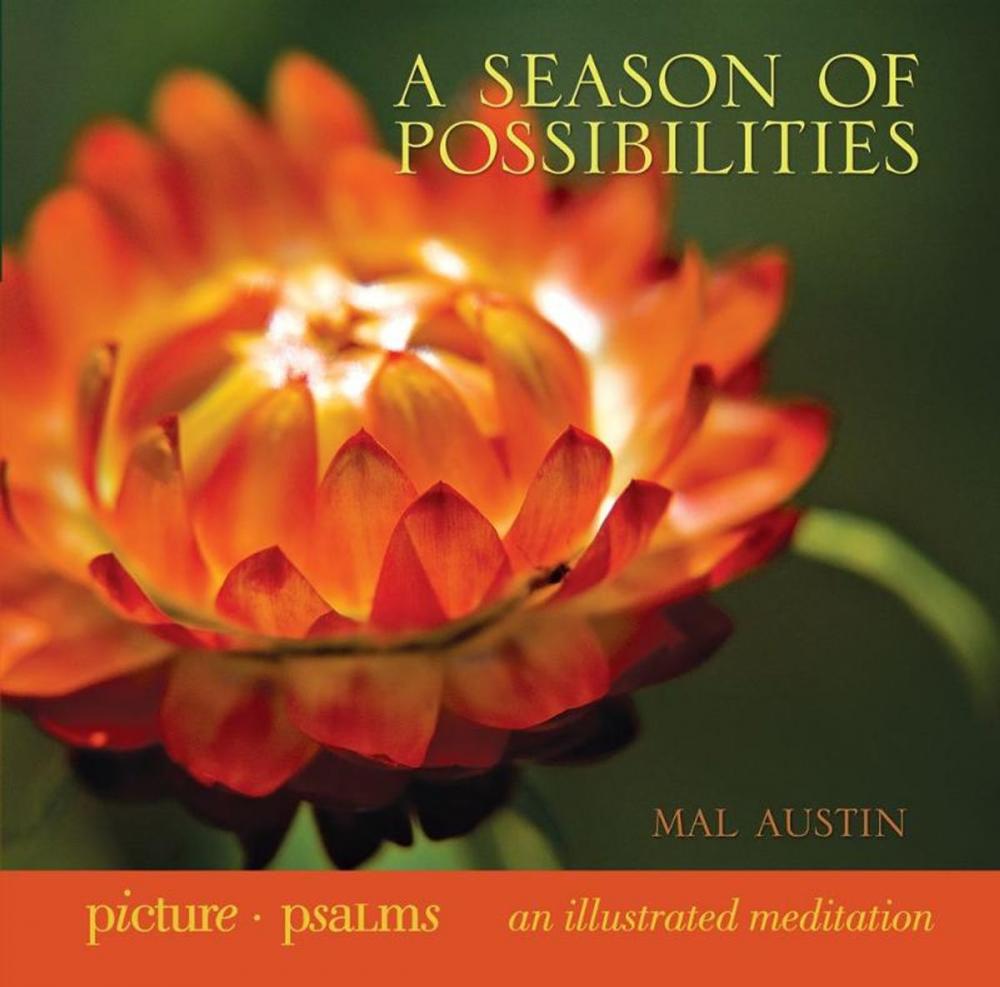 Big bigCover of A Season of Possibilities