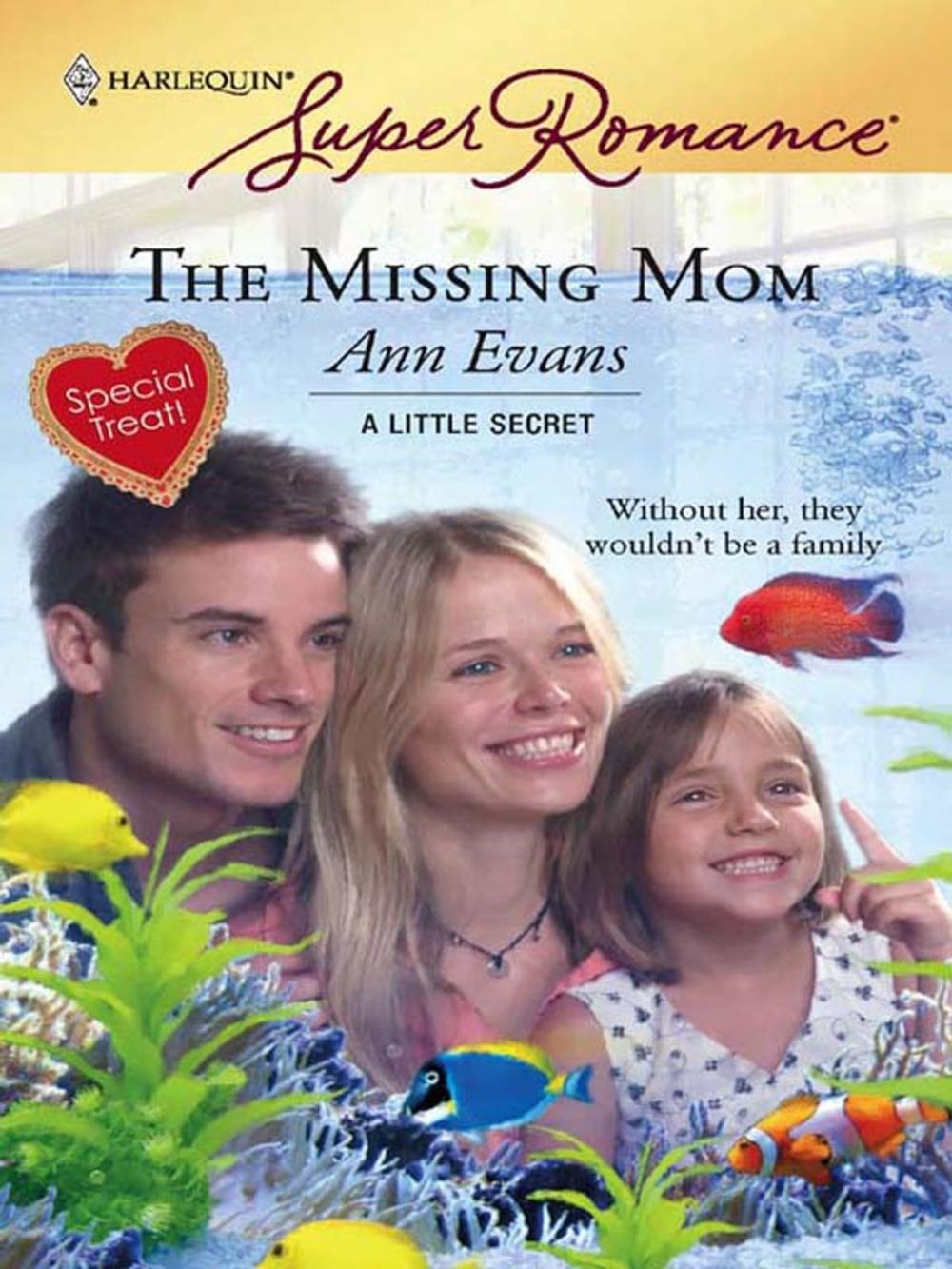 Big bigCover of The Missing Mom