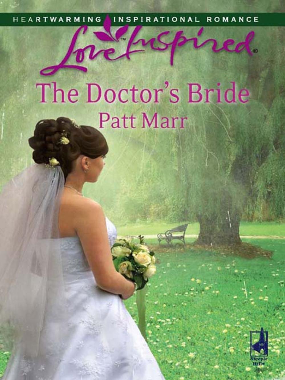 Big bigCover of The Doctor's Bride