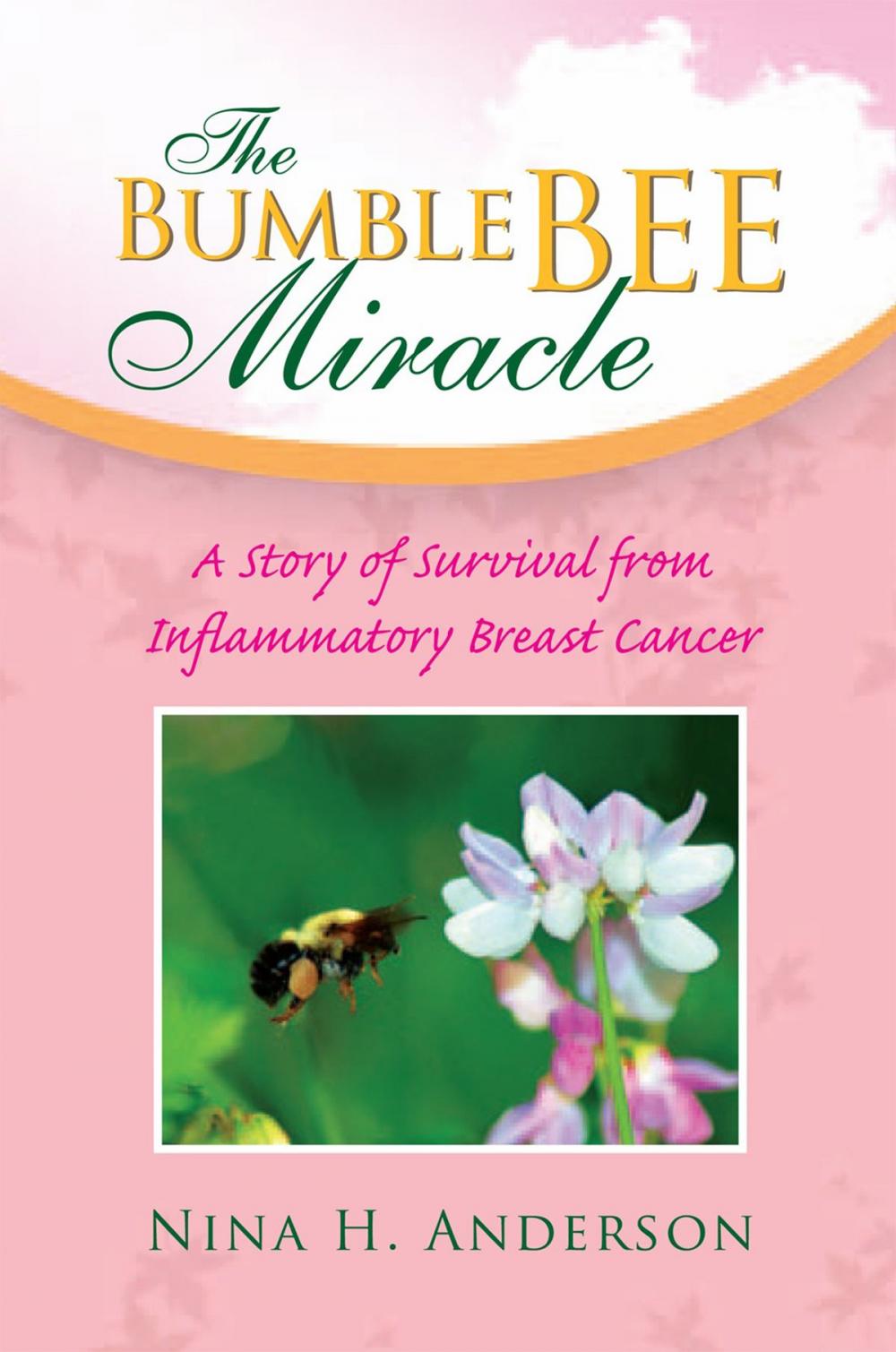 Big bigCover of The Bumble Bee Miracle