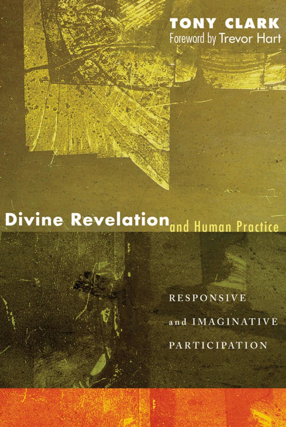 Big bigCover of Divine Revelation and Human Practice