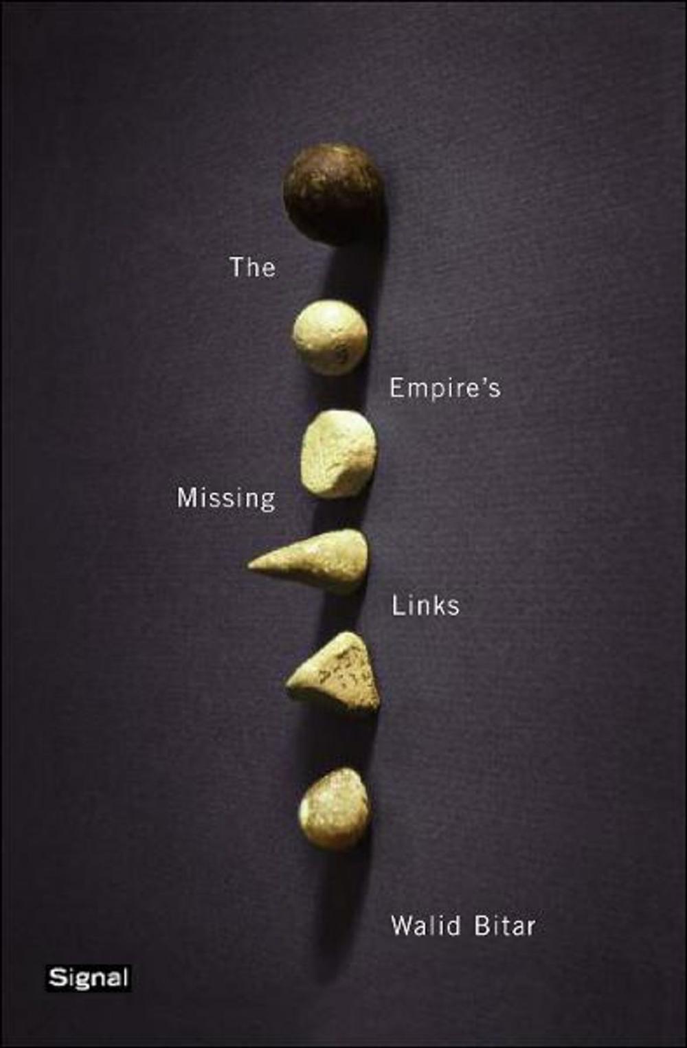 Big bigCover of The Empire's Missing Links