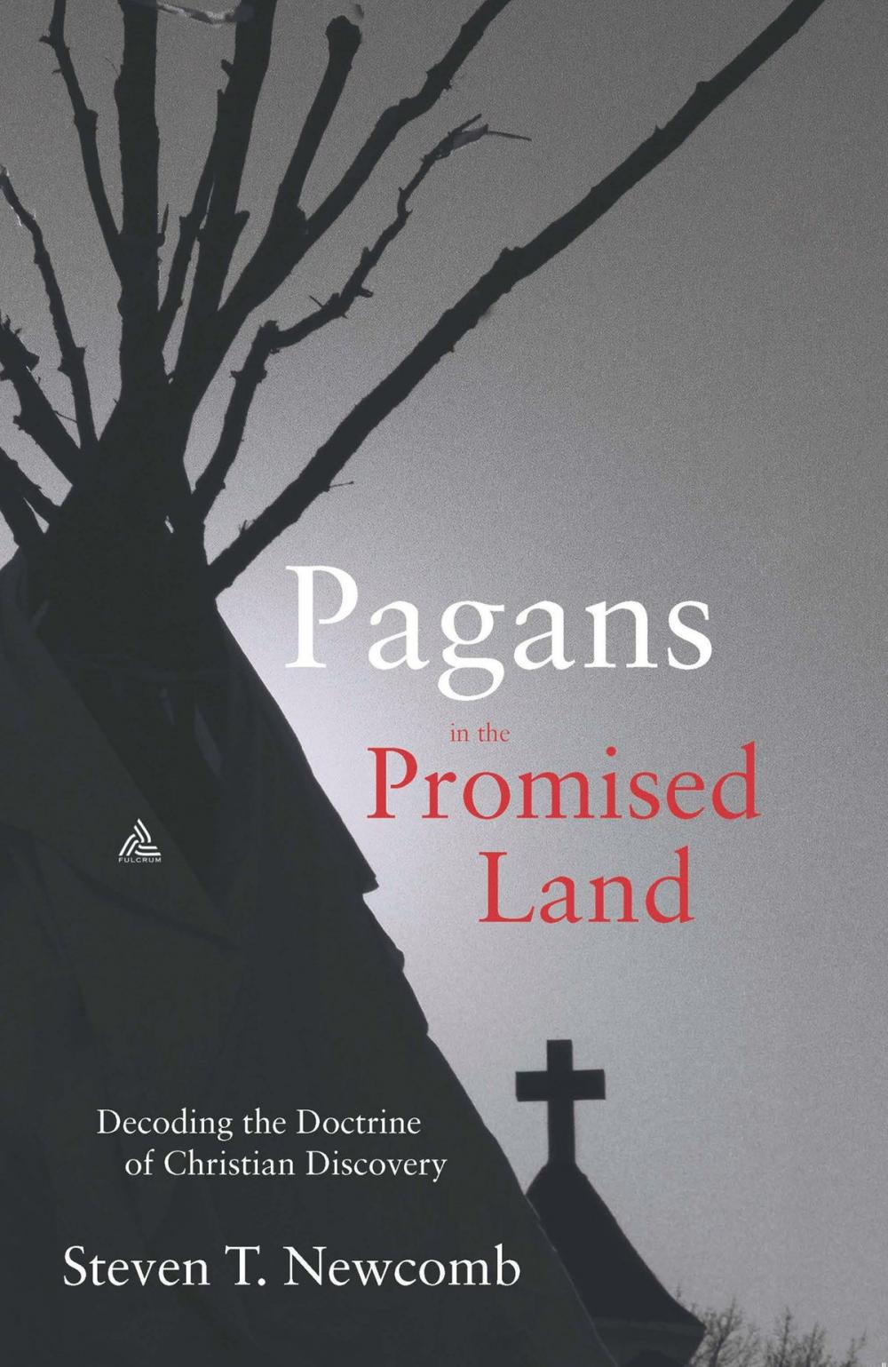 Big bigCover of Pagans in the Promised Land