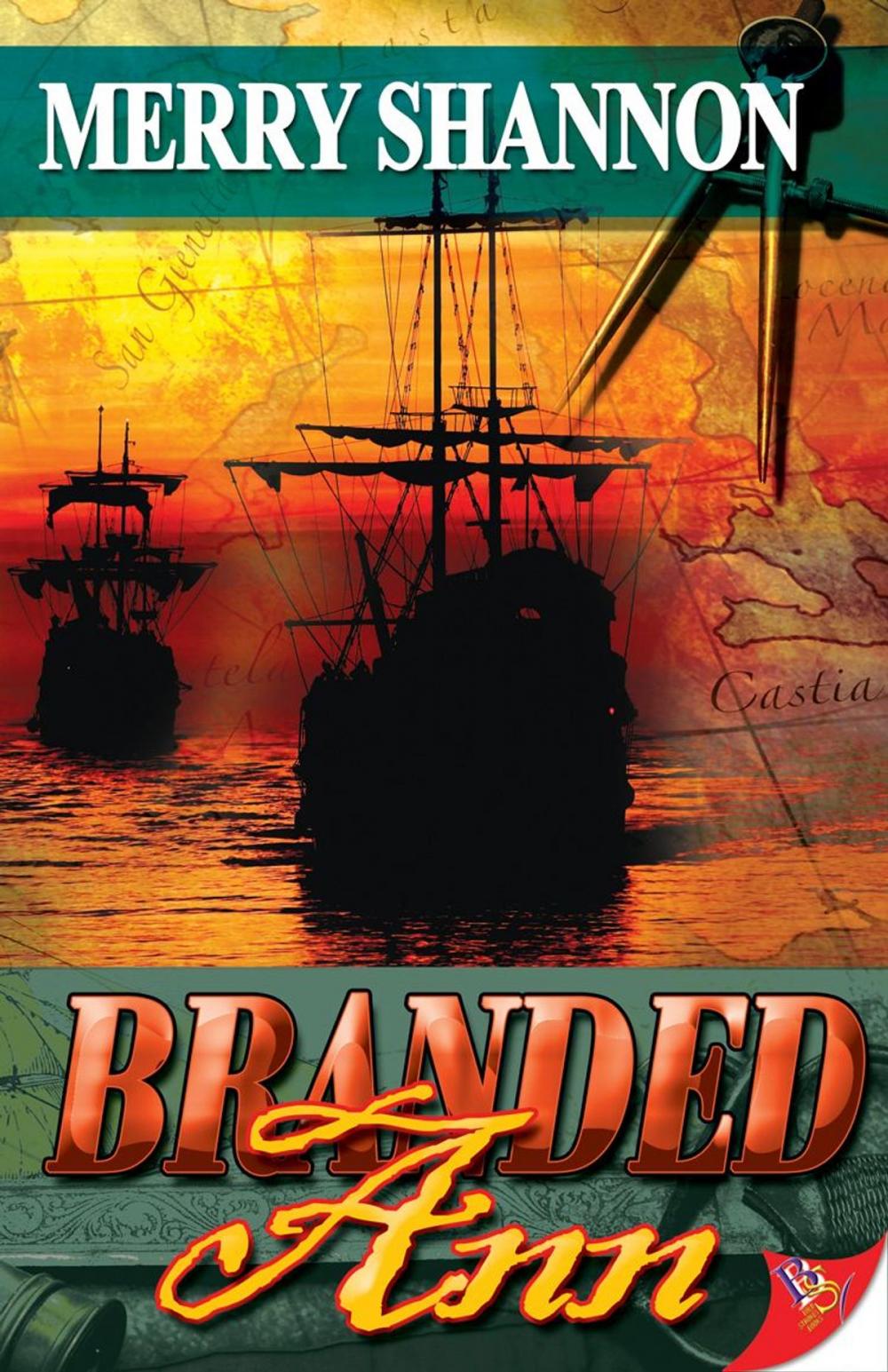 Big bigCover of Branded Ann