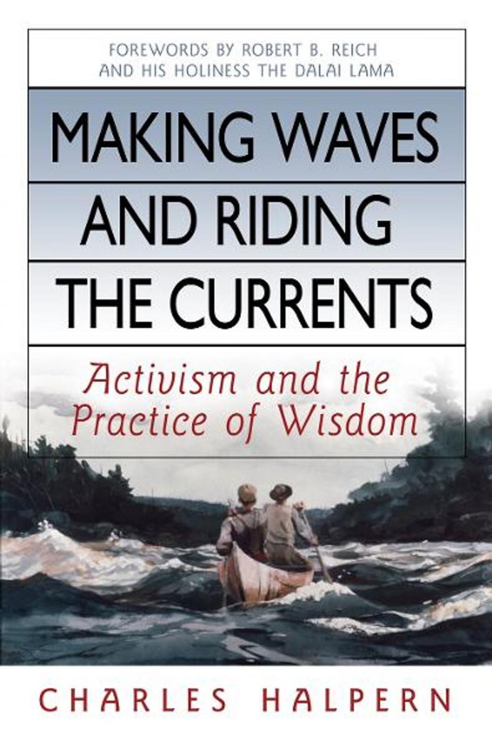 Big bigCover of Making Waves and Riding the Currents