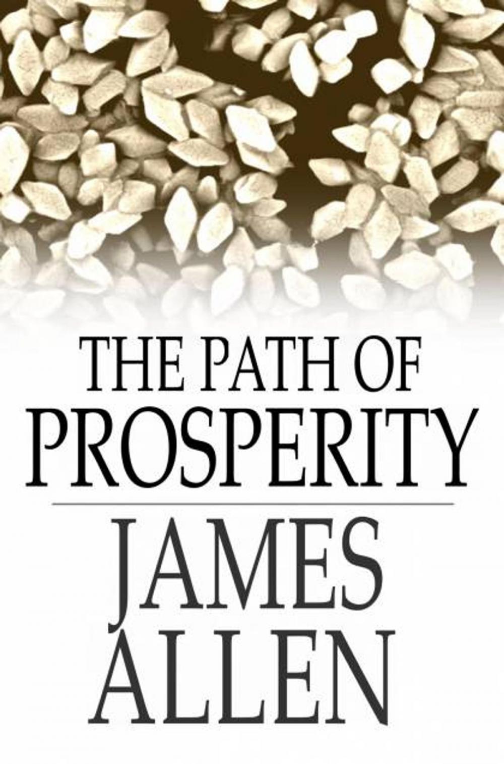 Big bigCover of The Path Of Prosperity