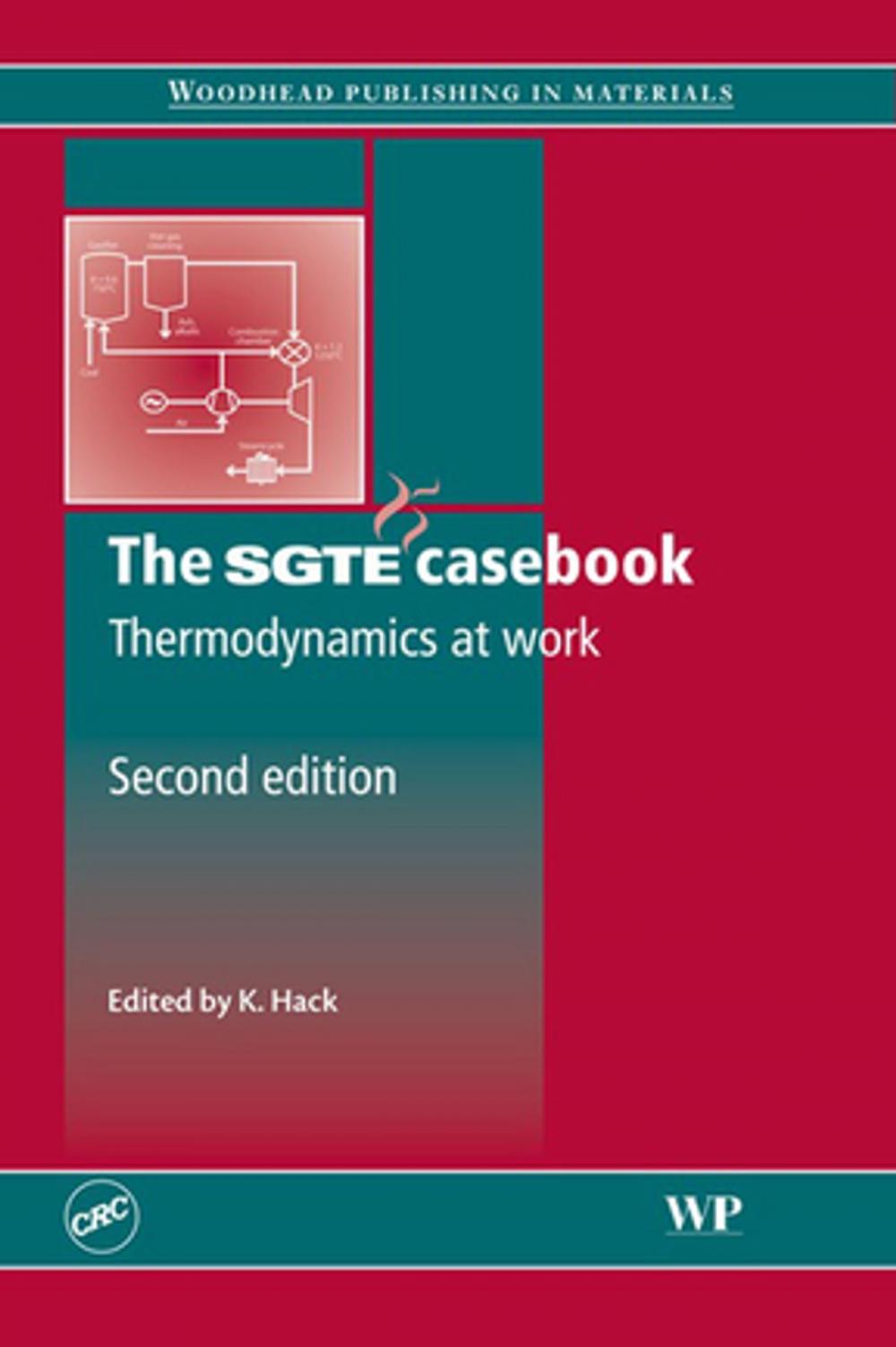 Big bigCover of The SGTE Casebook