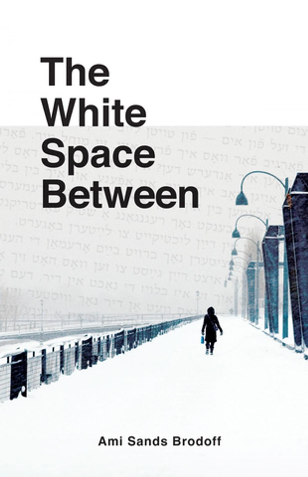 Big bigCover of The White Space Between