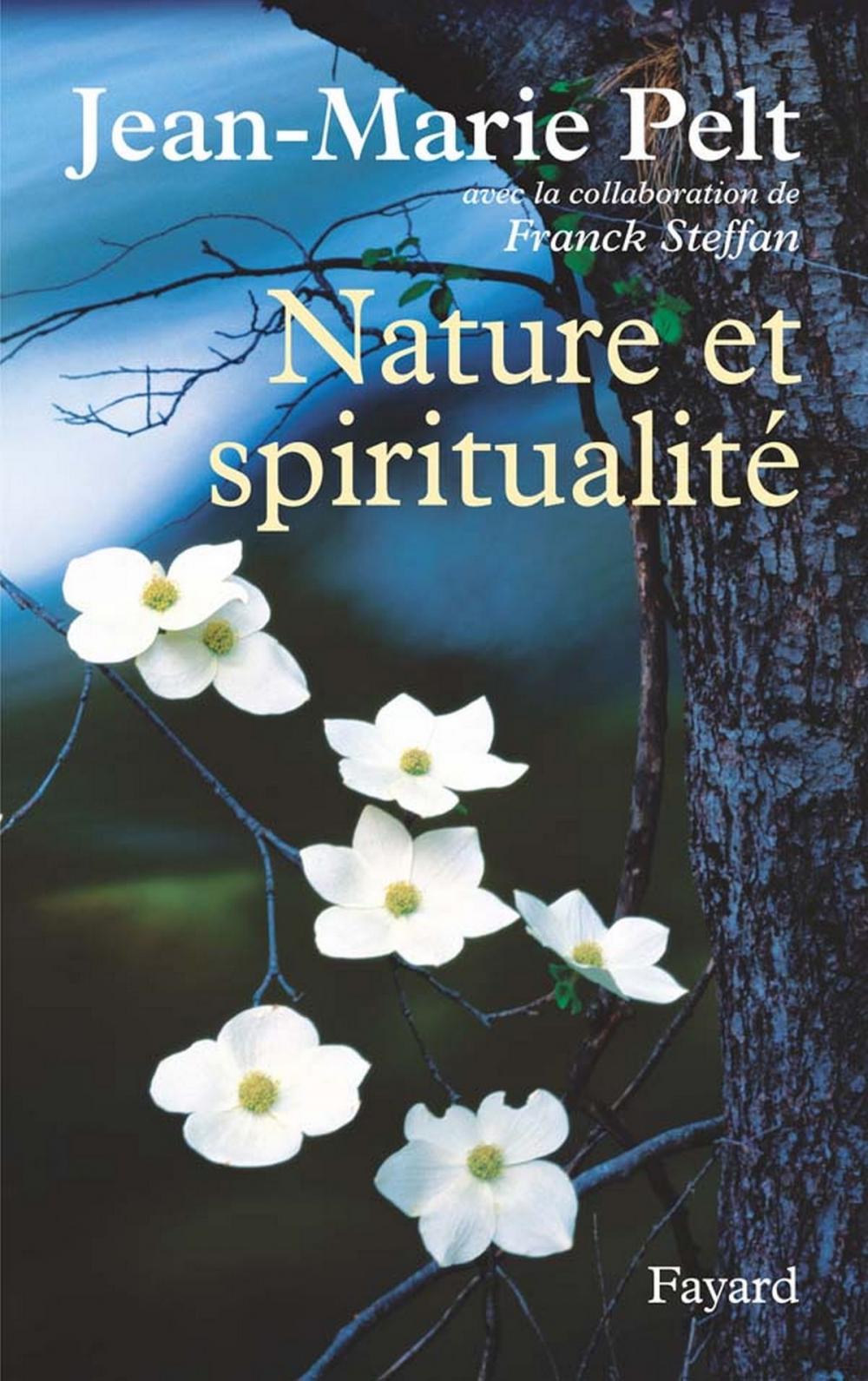 Big bigCover of Nature et spiritualité