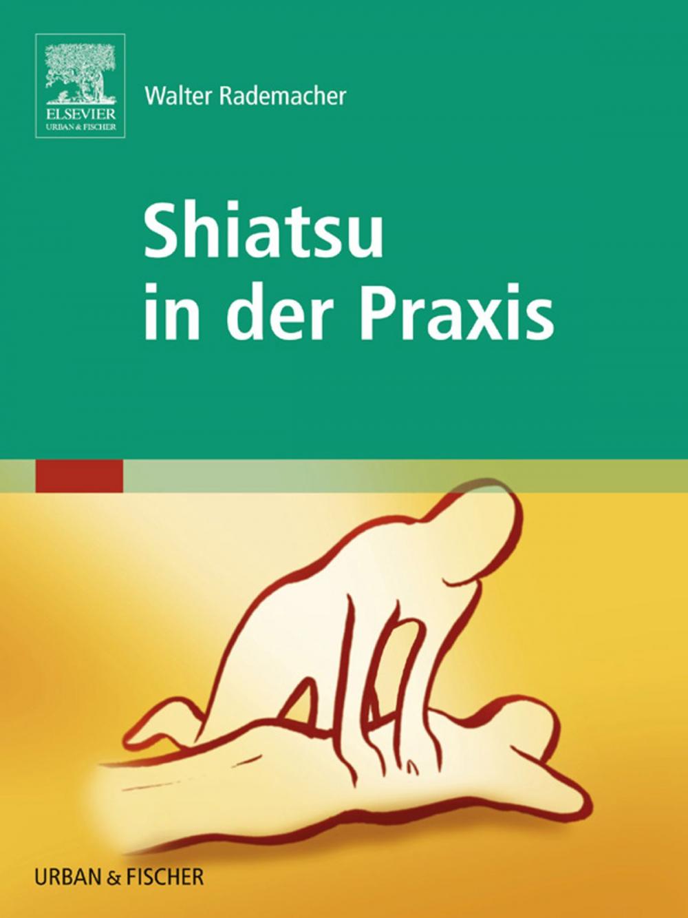 Big bigCover of Shiatsu in der Praxis