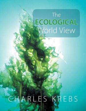 Cover of the book The Ecological World View by Jill Silsby