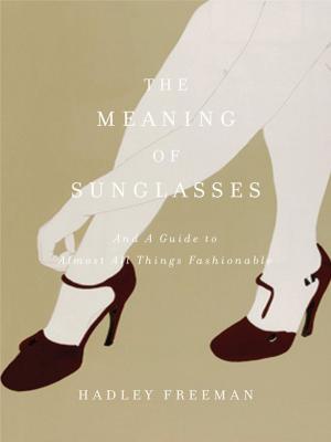 bigCover of the book The Meaning of Sunglasses by 