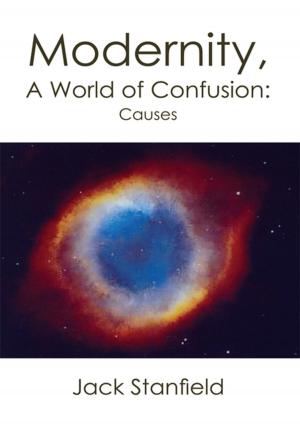 Cover of the book Modernity, a World of Confusion:Causes by Jane Meyer Lee