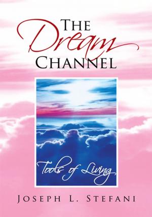 Cover of the book The Dream Channel by John Coffman