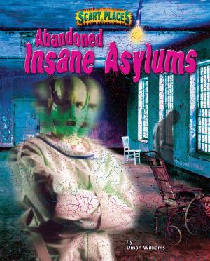 Cover of the book Abandoned Insane Asylums by Natalie Lunis
