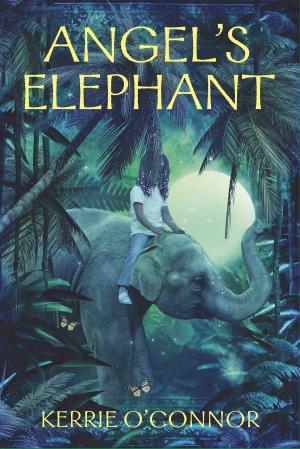Cover of the book Angel's Elephant by John Blaxland, Rhys Crawley