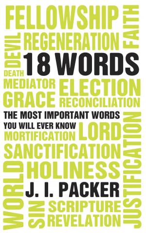Book cover of 18 Words