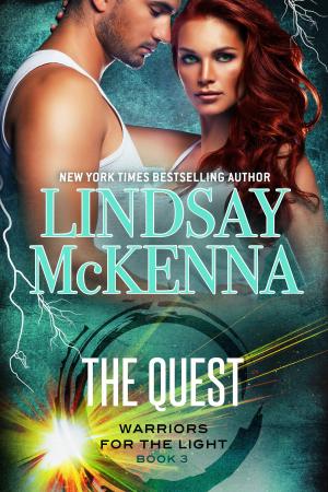 Cover of the book The Quest by Jody Kaye