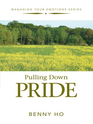 Cover of the book Pulling Down Pride by Nola Anne Hennessy