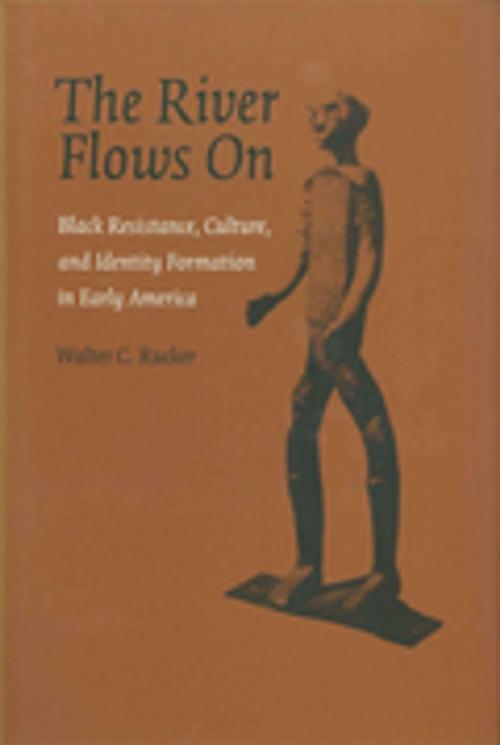 Cover of the book The River Flows On by Walter C. Rucker, LSU Press