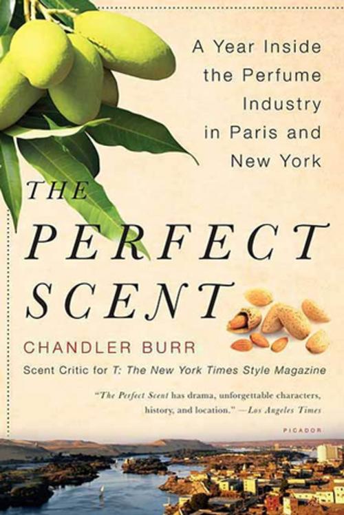 Cover of the book The Perfect Scent by Chandler Burr, Henry Holt and Co.